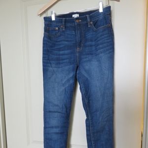 SOLD J. Crew Skinny Stretch Jeans Size 29 EUC